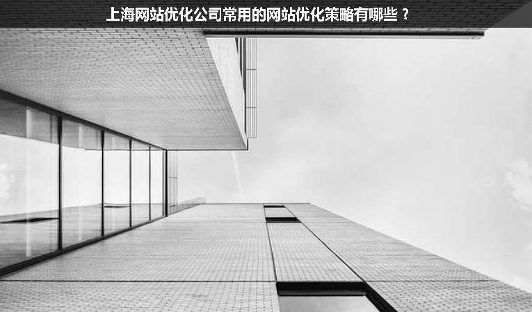 上海网站优化公司常用的网站优化策略有哪些？